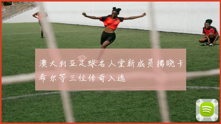 澳大利亚足球名人堂新成员揭晓卡希尔等三位传奇入选