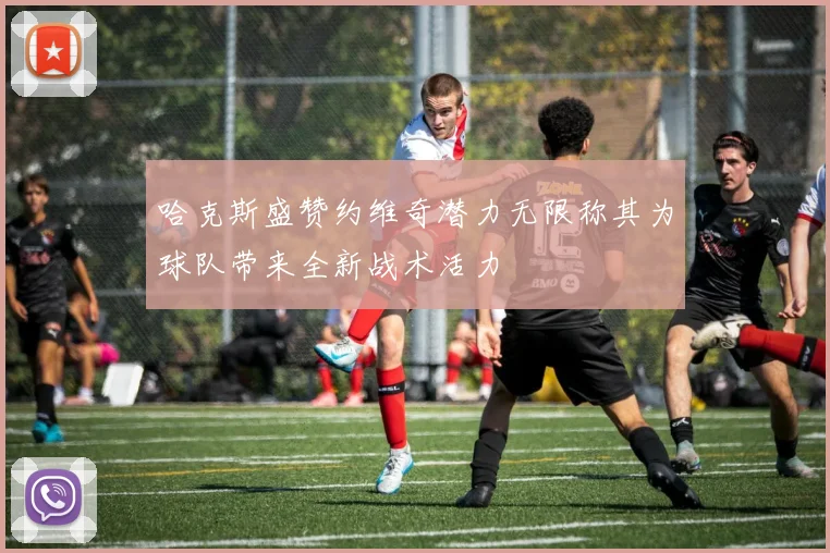 哈克斯盛赞约维奇潜力无限称其为球队带来全新战术活力