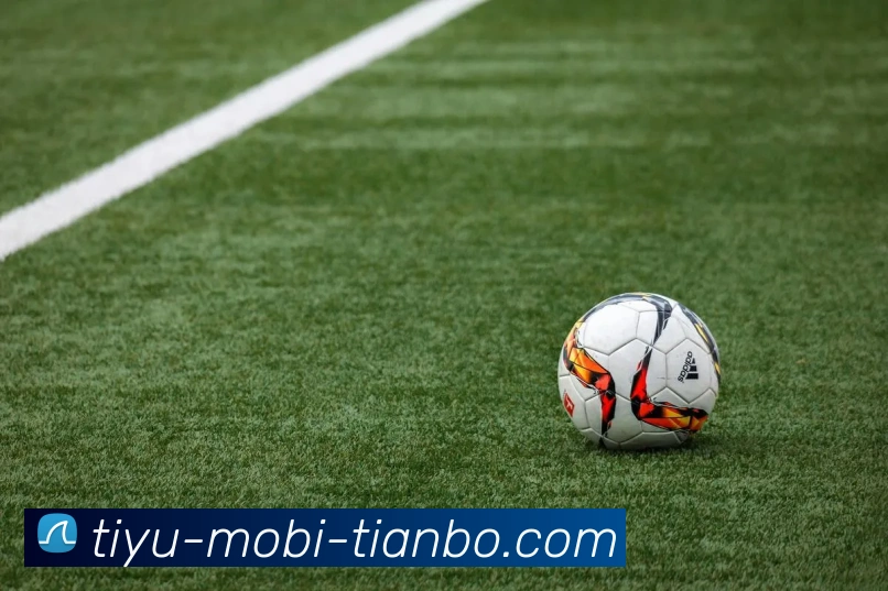 天博体育服务体系