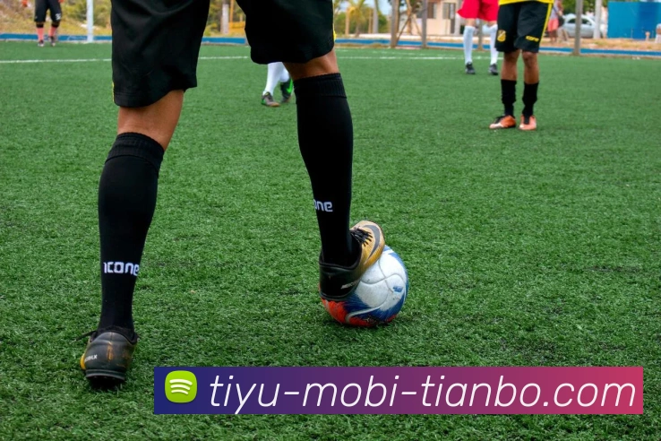 多媒体互动体验