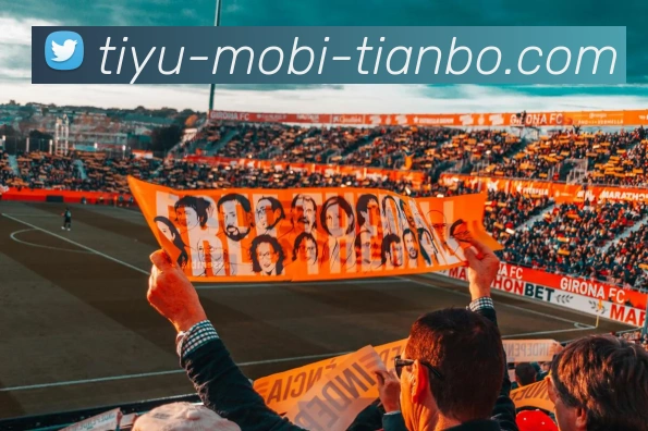 天博体育APP 体育赛事宣传图